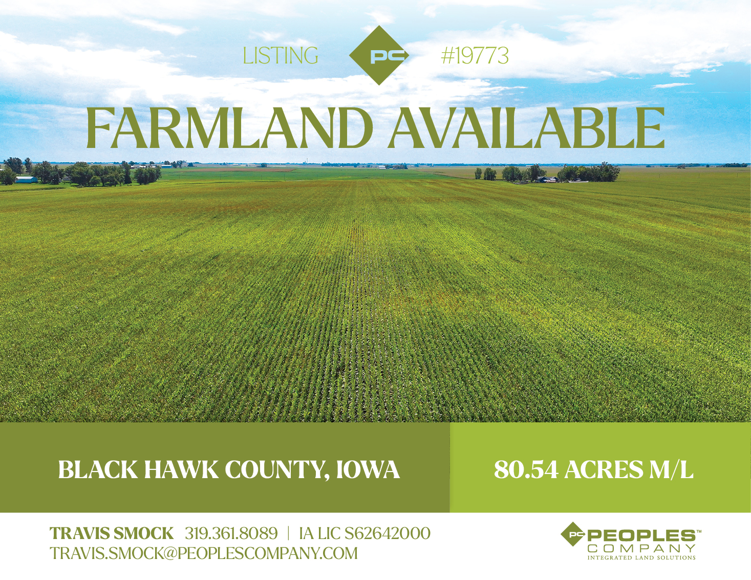 Listing #19773